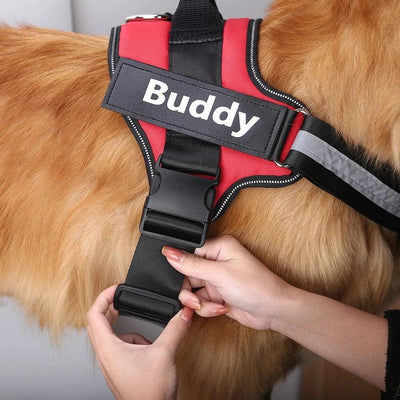 Custom No Pull Dog Harness with Name & Phone Number - Heavy duty & Personalized