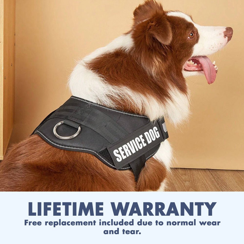 EZHarness™ - Slip-On Dog Harness