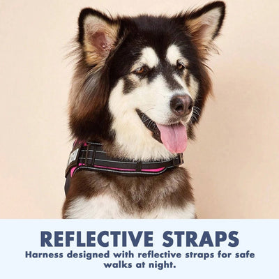 I-MuttHarness™ - I-Premium Dog Harness