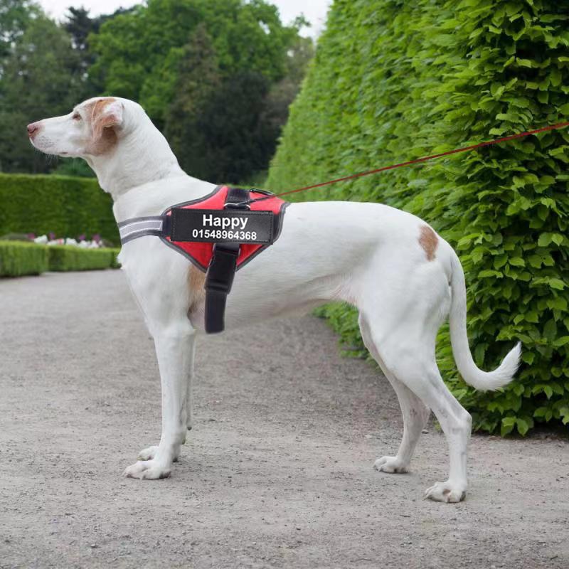 Personalized No Pull Reflective Dog Harness