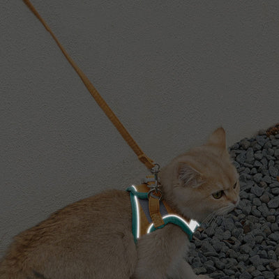 GloCat™ Reflective Adventure Harness