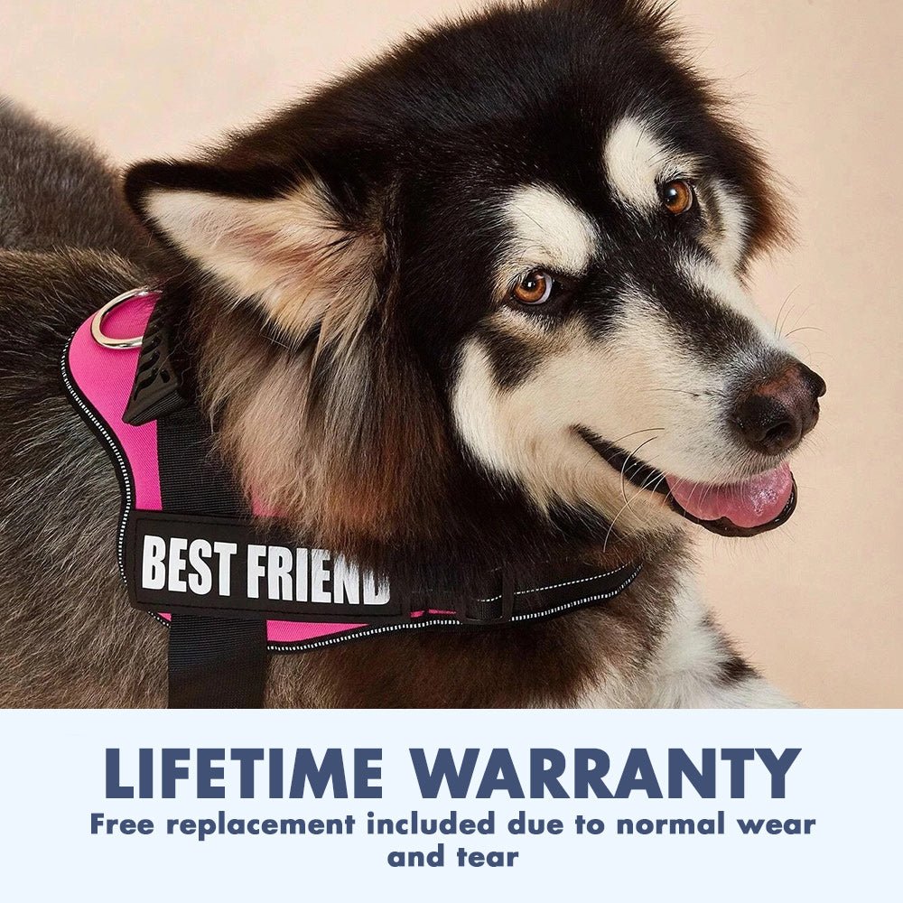 I-MuttHarness™ - I-Premium Dog Harness