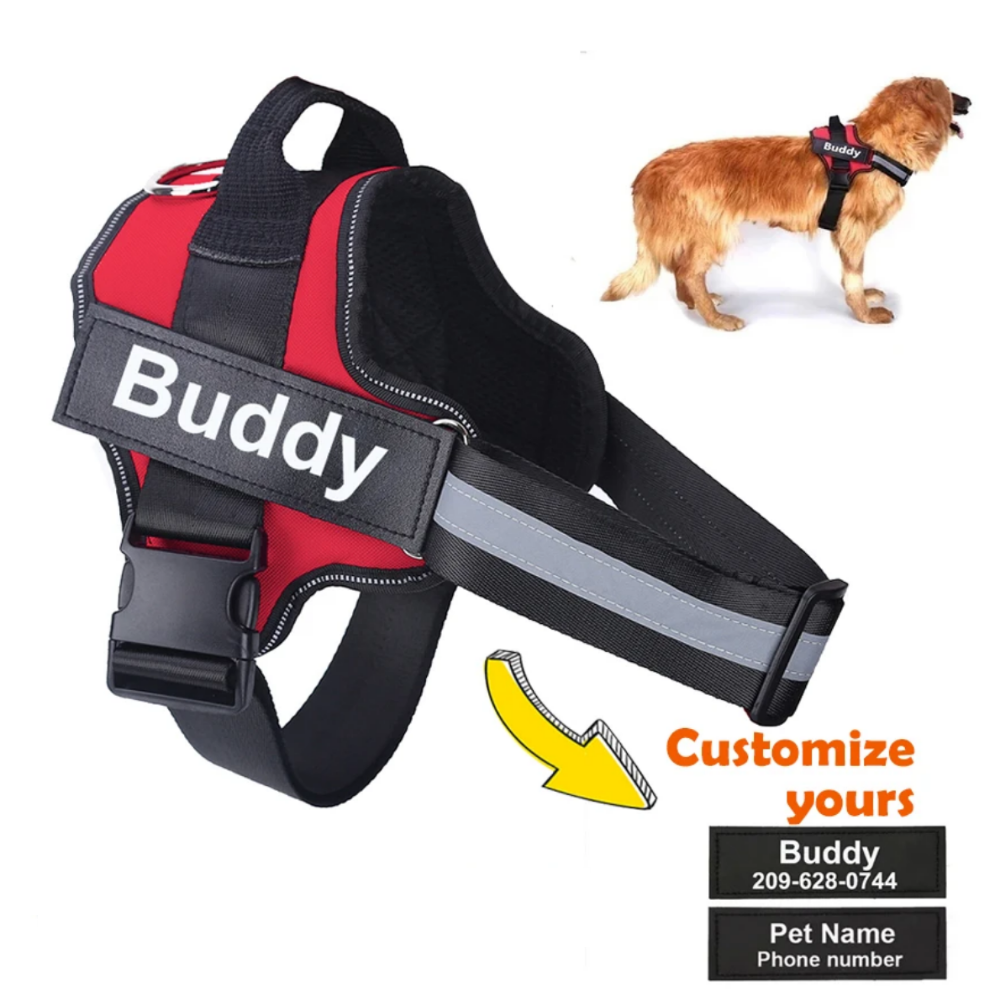 Custom No Pull Dog Harness with Name & Phone Number - Heavy duty & Personalized