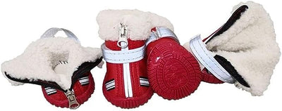 PawGuard™ Protector Shoes