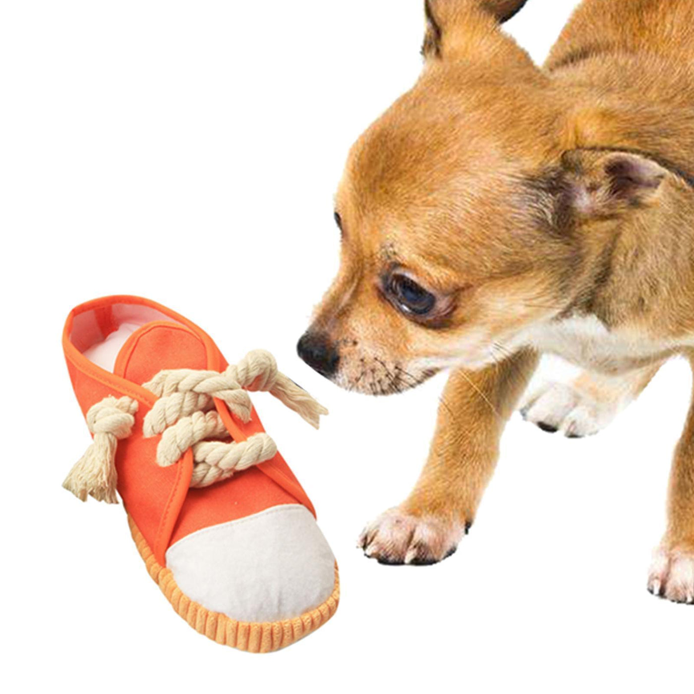 Pet Paws Squeaky ™Sneaker Toy