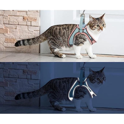 GloCat™ Reflective Adventure Harness