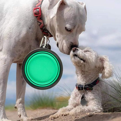 Collapsible Travel Pet Bowl