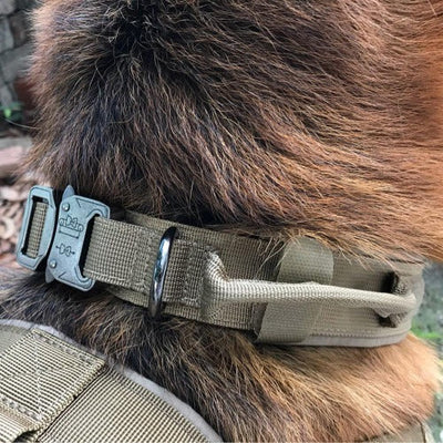 Durable Tactical Pull Collar