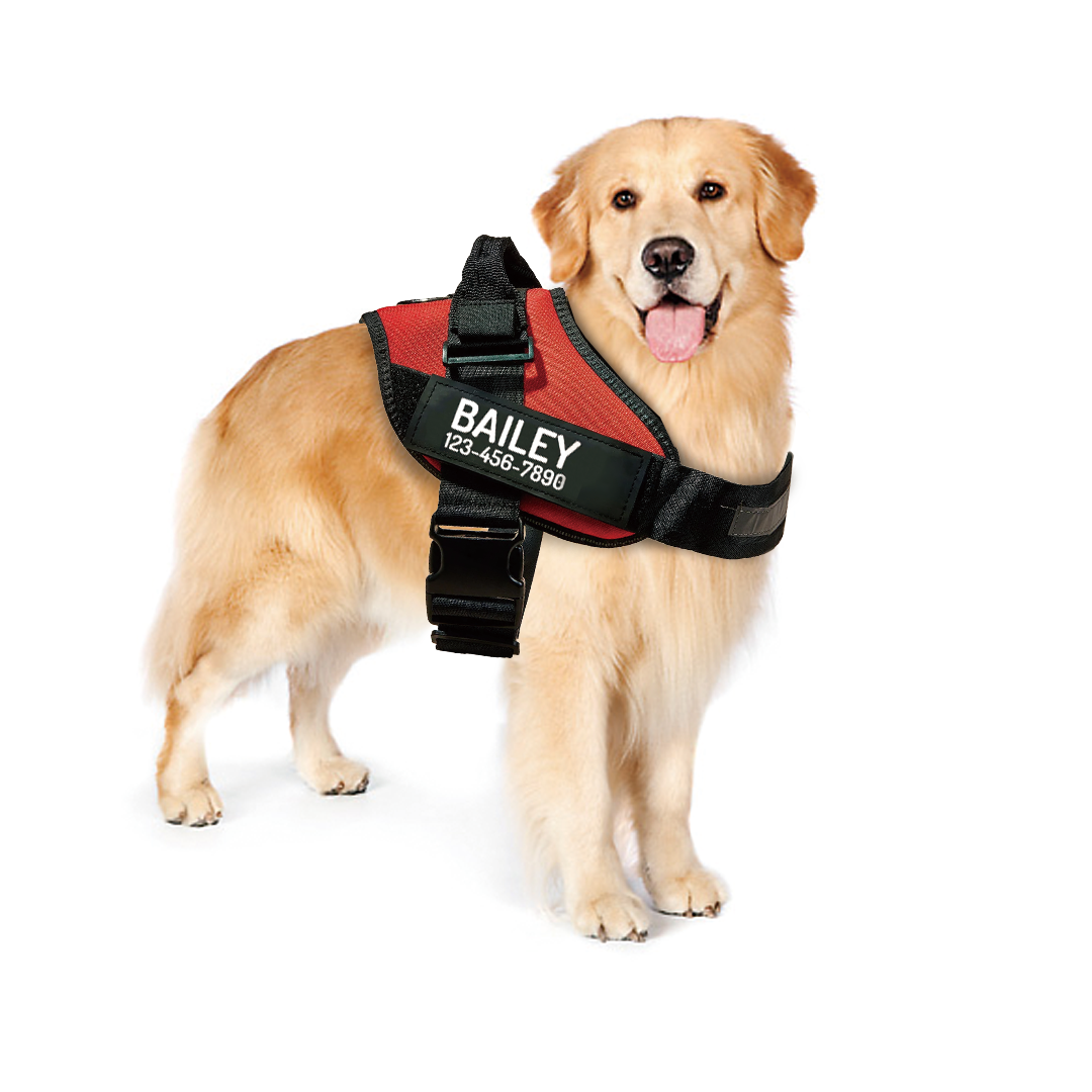 Lifetime Warranty Upgraded No Pull Personalized Dog Harness