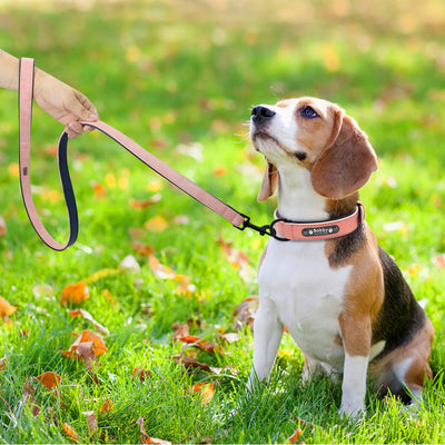 DiDog™ - Personalized, Custom Engraved Leather Dog Collar & Leash Set