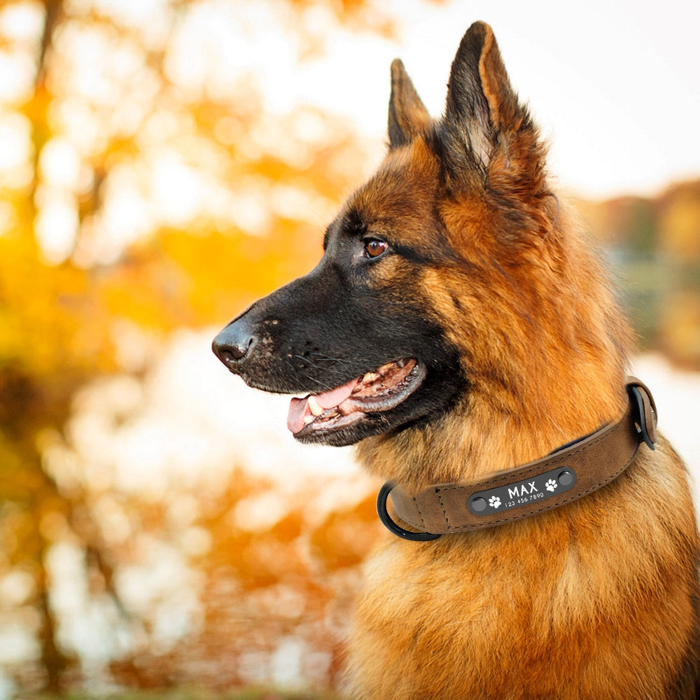 DiDog™ - Personalized, Custom Engraved Leather Dog Collar & Leash Set