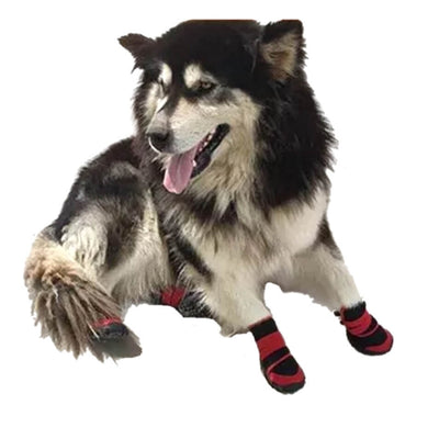 PawShield™ Waterproof Pet Boots