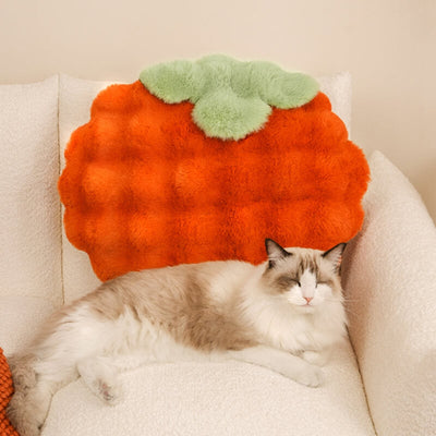 Persimmon Plush Pet Sleeping Pad