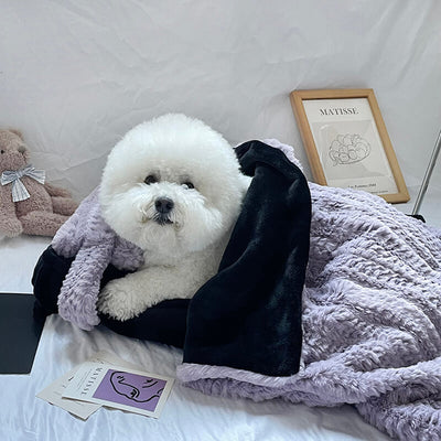 Playful Pink Plush Pet Bed with Pillow & Blanket