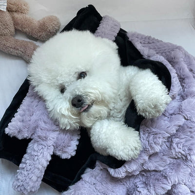 Playful Pink Plush Pet Bed with Pillow & Blanket