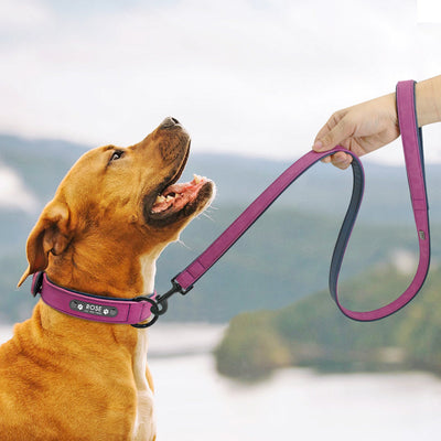 DiDog™ - Personalized, Custom Engraved Leather Dog Collar & Leash Set