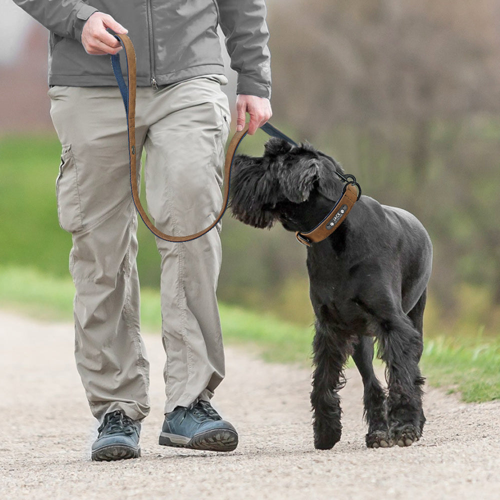 DiDog™ - Personalized, Custom Engraved Leather Dog Collar & Leash Set