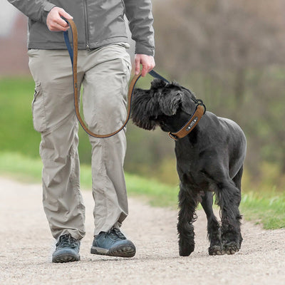 DiDog™ - Personalized, Custom Engraved Leather Dog Collar & Leash Set