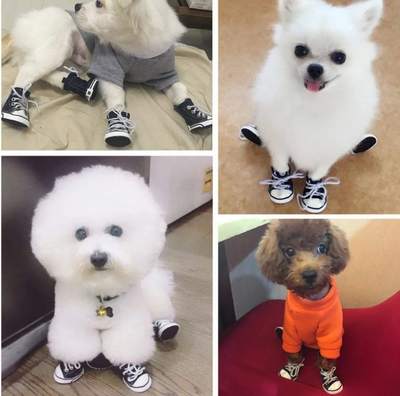 PawTreads™ Dog Sneakers Shoes