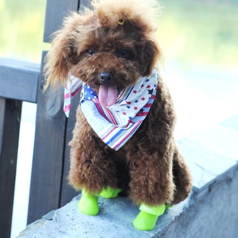 Guai™ - Small/Medium Dog Non-Slip, Rainboots