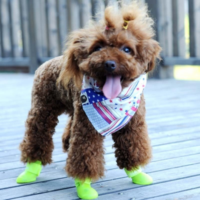 Guai™ - Small/Medium Dog Non-Slip, Rainboots