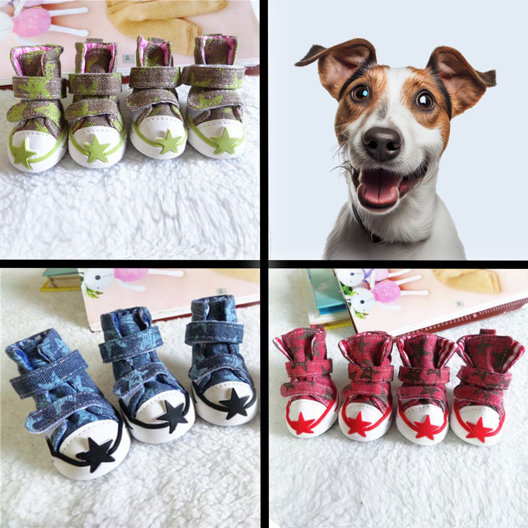 StarPaws™ Pet Canvas Kicks