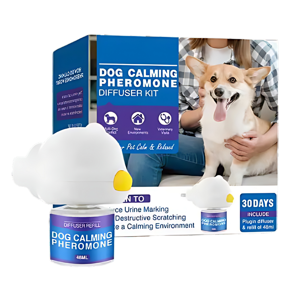 Anxiety Relief For Pets