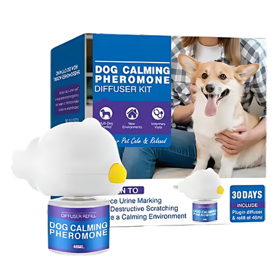 Anxiety Relief For Pets