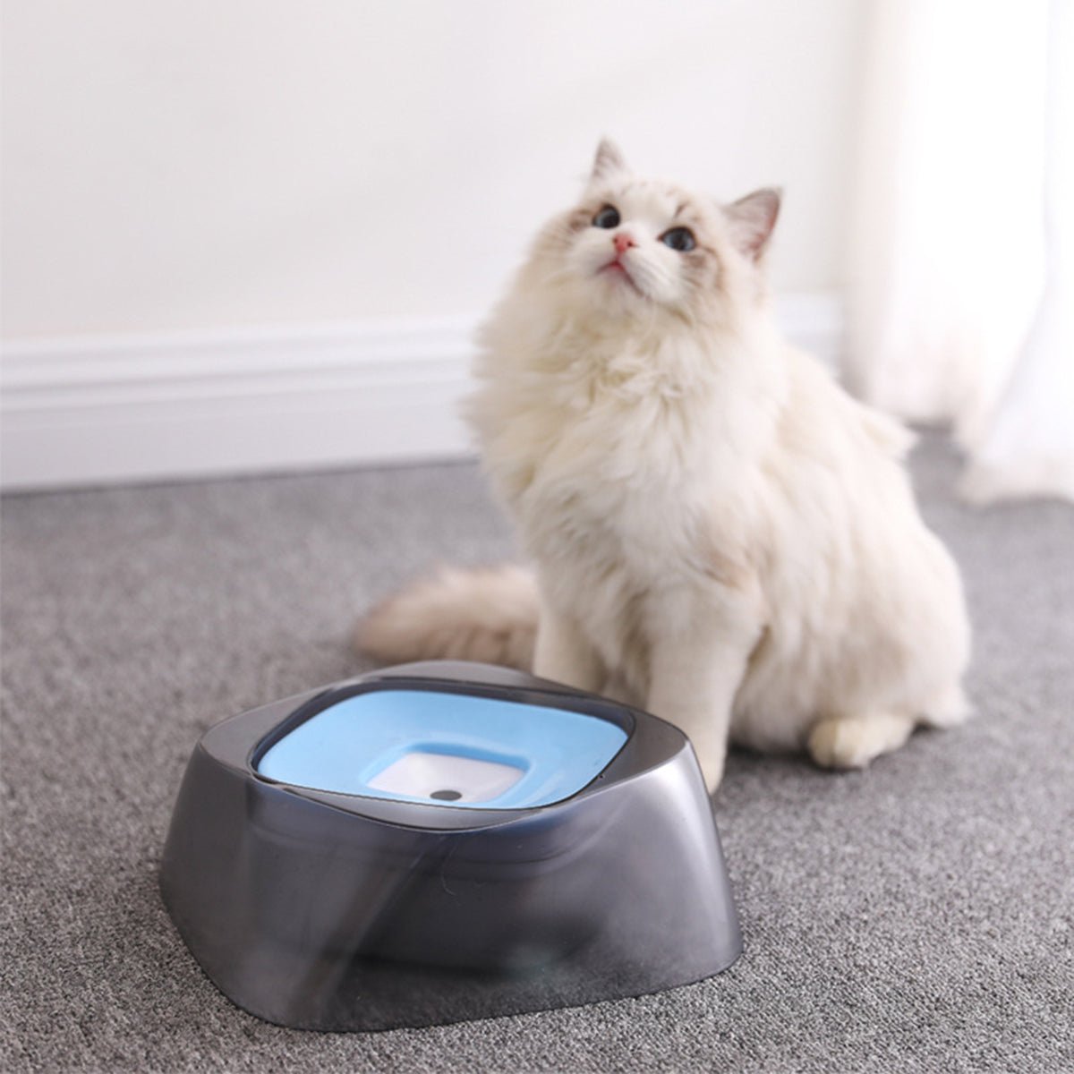 AquaFlow™ No-Spill Splash-Free Pet Water Bowl