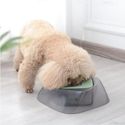 AquaFlow™ No-Spill Splash-Free Pet Water Bowl