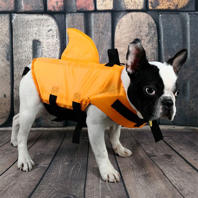 AquaPaws™SharkGuard