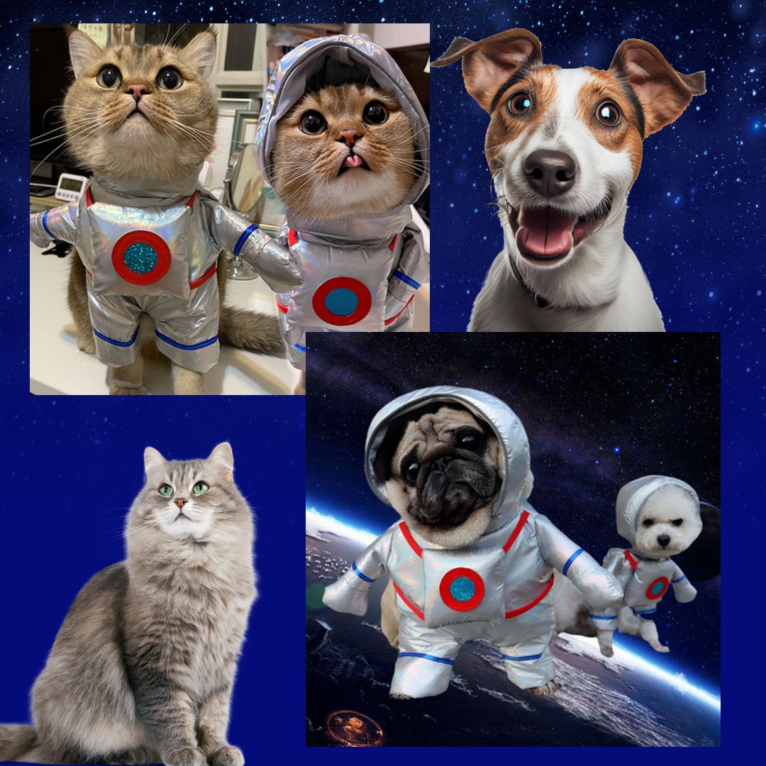 Astro-Pet™ Costume Suit