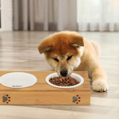 BambooPaws™ Pet Feast Station