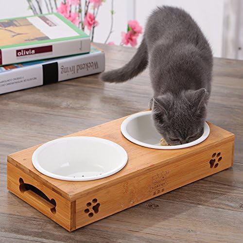 BambooPaws™ Pet Feast Station