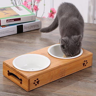 BambooPaws™ Pet Feast Station