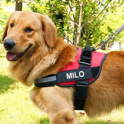 Custom No Pull Dog Harness with Name & Phone Number - Heavy duty & Personalized