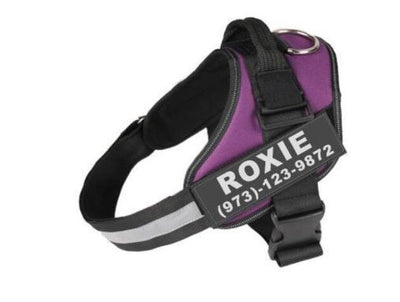 Personalized No Pull Dog Harness Vest