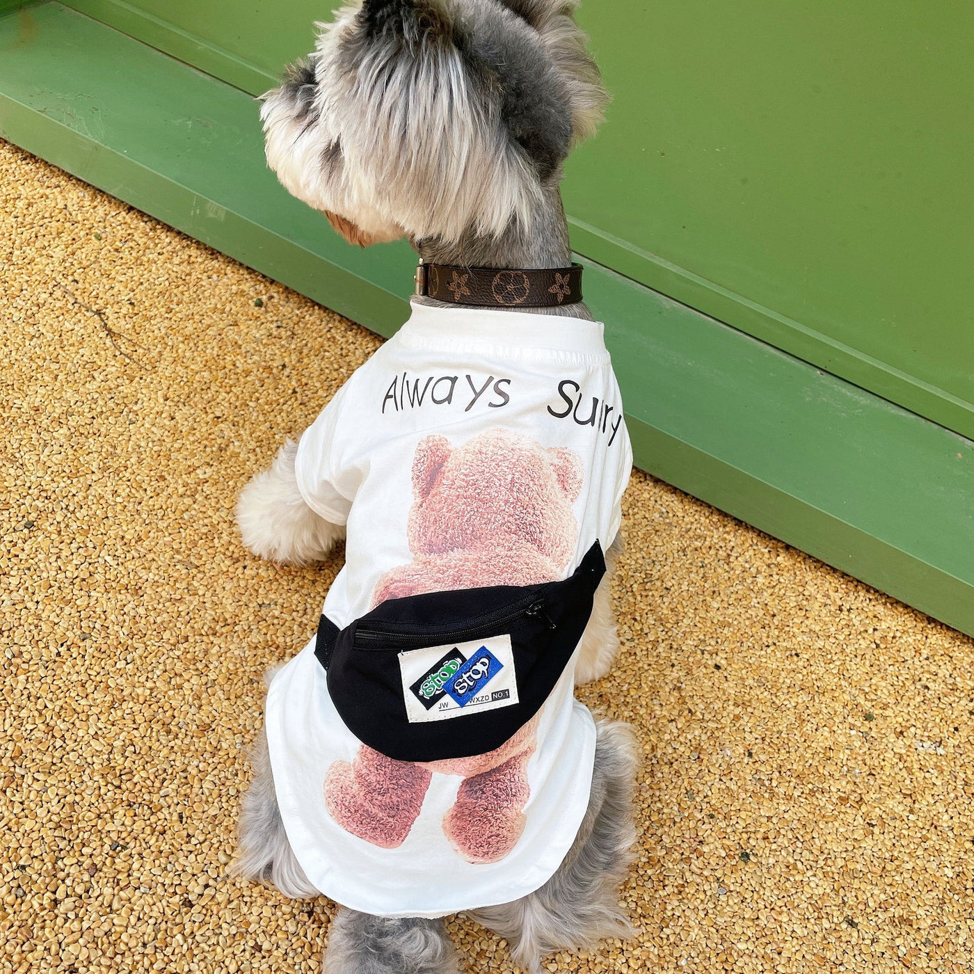 BearDogVenture™ Pet Fun Tee