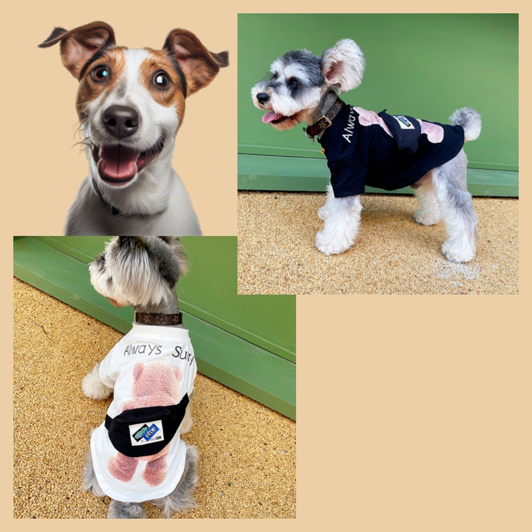 BearDogVenture™ Pet Fun Tee