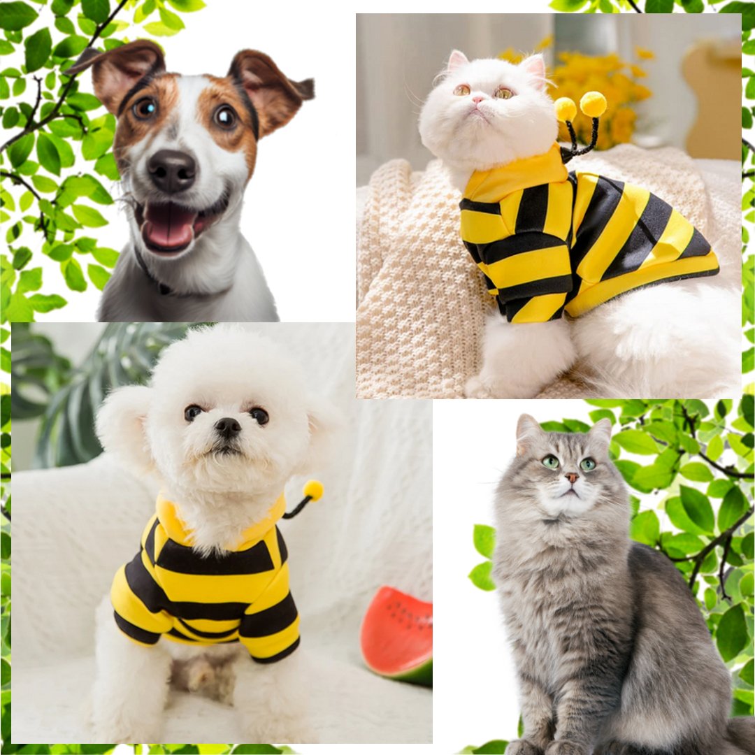 Buzzy BeePet™Hoodie