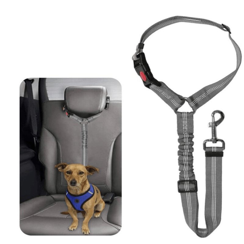 Car Seat Belt Dog Harness