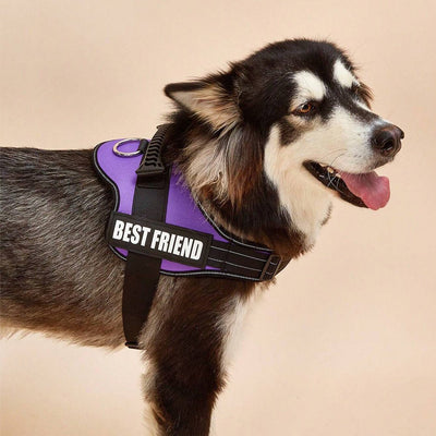 I-MuttHarness™ - I-Premium Dog Harness