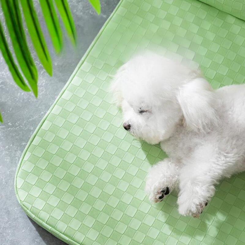 Checkerboard Isikhumba Pet Bed Anti-ukukhathazeka Orthopedic Dog Bed