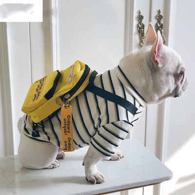 Chic Pet Fashion Backpack Outfit