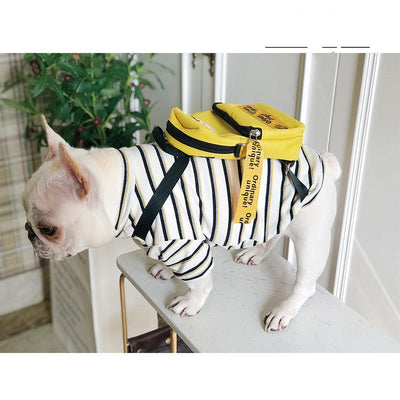 Chic Pet Fashion Backpack Outfit