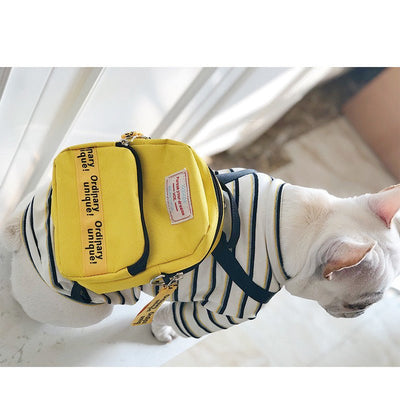 Chic Pet Fashion Backpack Outfit