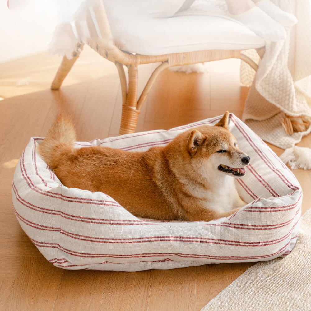 I-Classic Stripe All Seasons Breathable Dog Bed