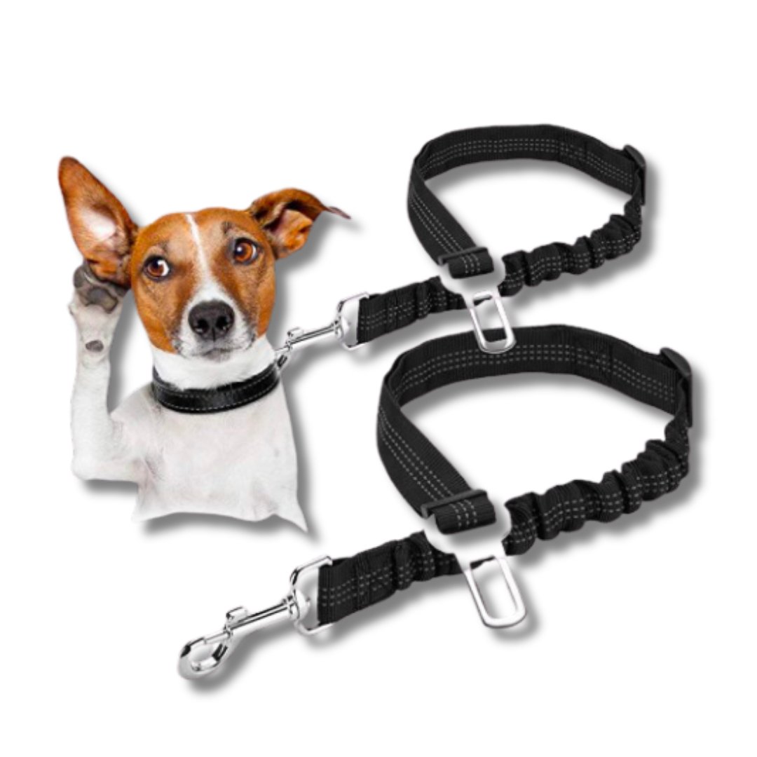 Click Clack Car Leash