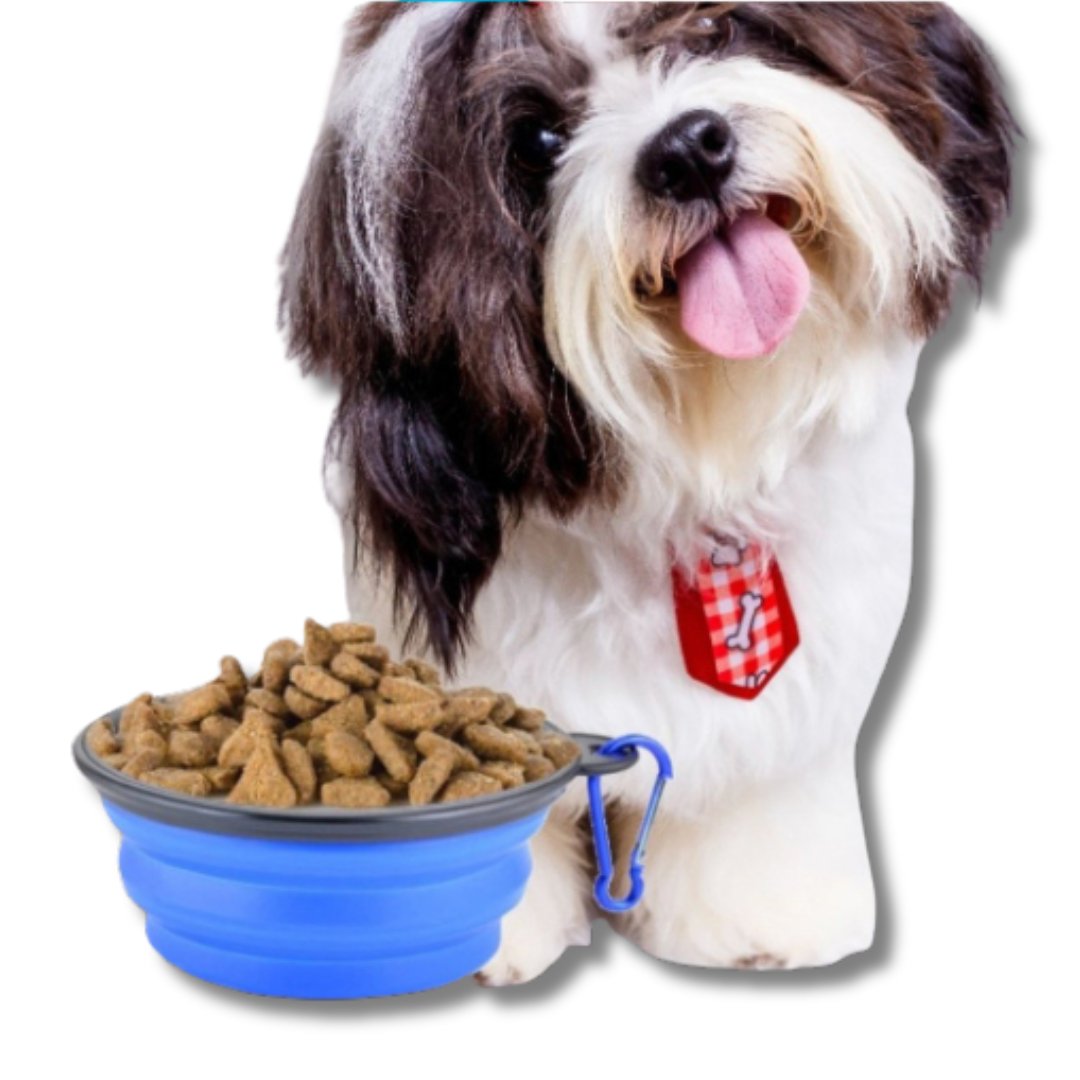 Collapsible Travel Pet Bowl