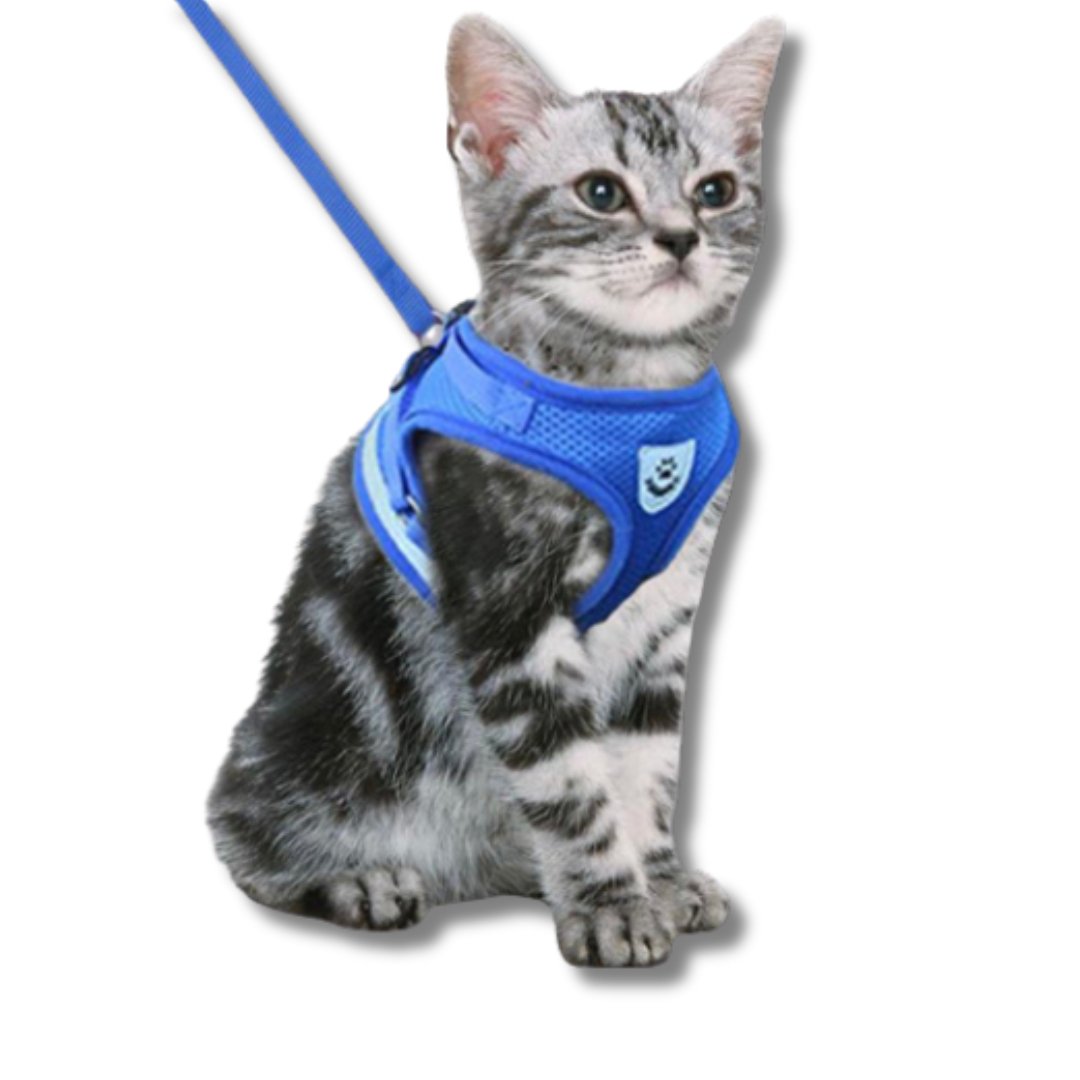 Comfort Adjustable Cat Harness